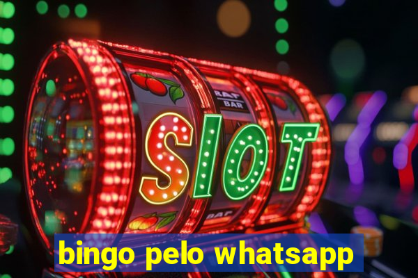 bingo pelo whatsapp